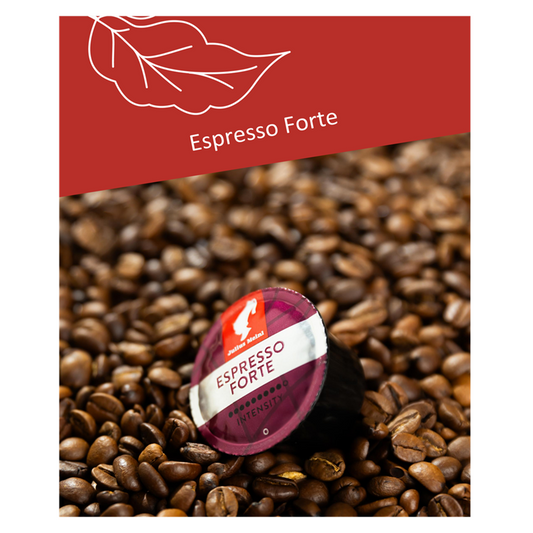 Kavne kapsule Professional Julius Meinl Espresso Forte 96/1